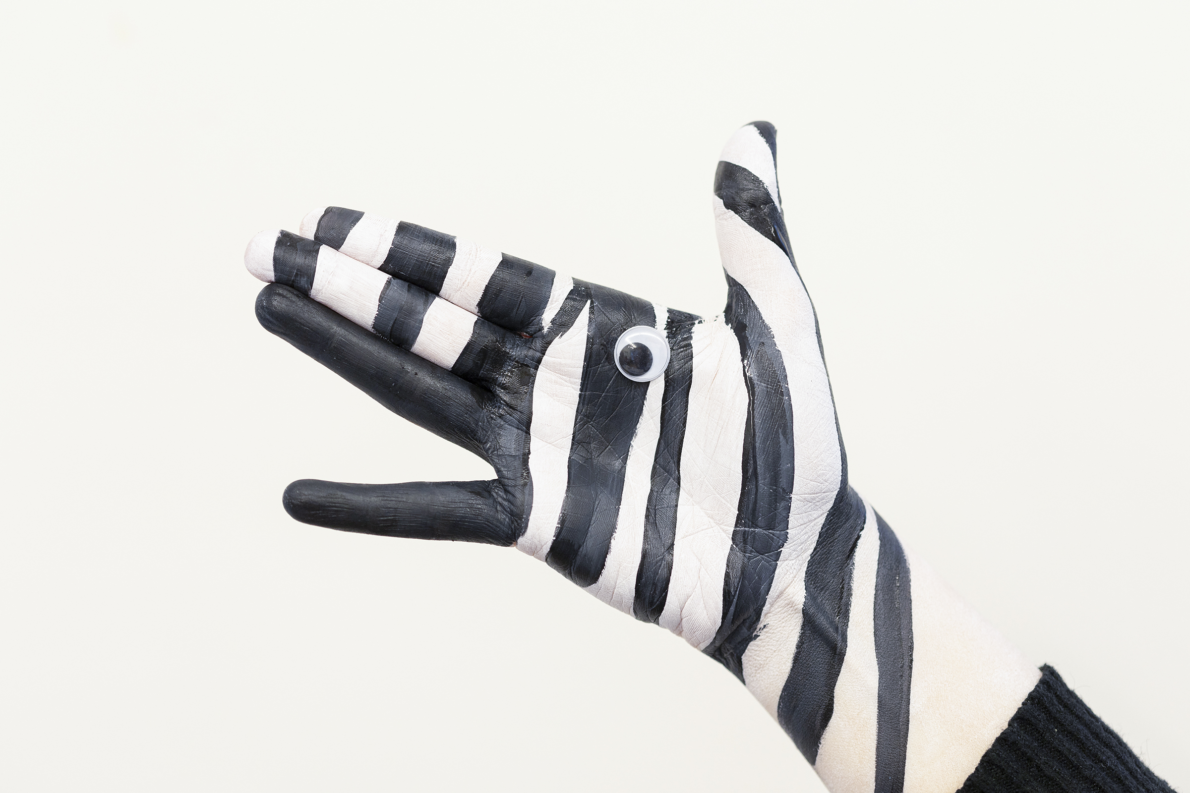 Handdieren schminken
