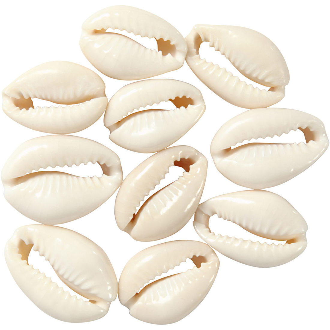 Schelpen met gat 20 mm 12 stuks naturel Schelpen met gat 20 mm 12 stuks naturel
