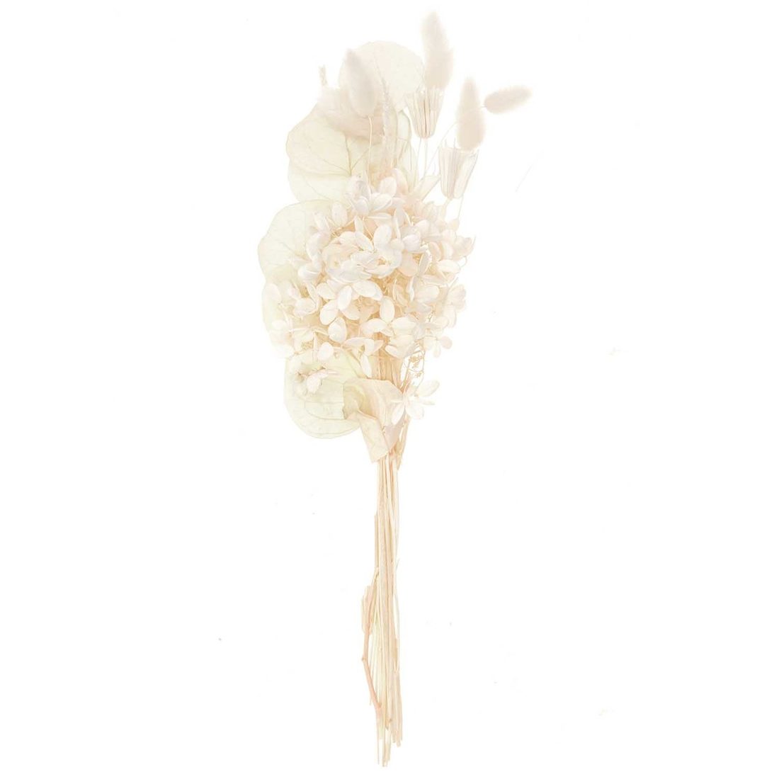 Droogbloemen mix 30 cm naturel wit Droogbloemen mix 30 cm naturel wit