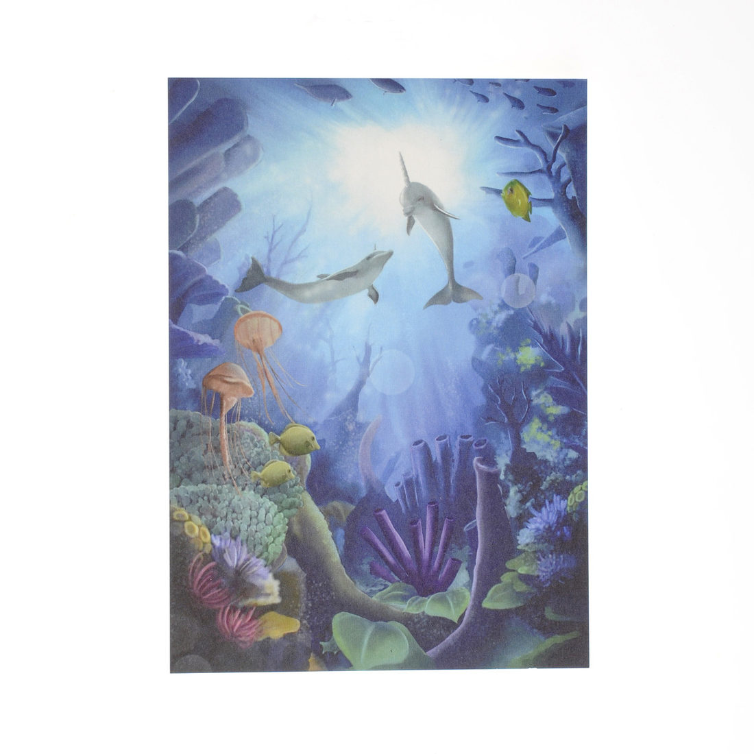 Postkaart - Zeewereld Postkaart - Zeewereld