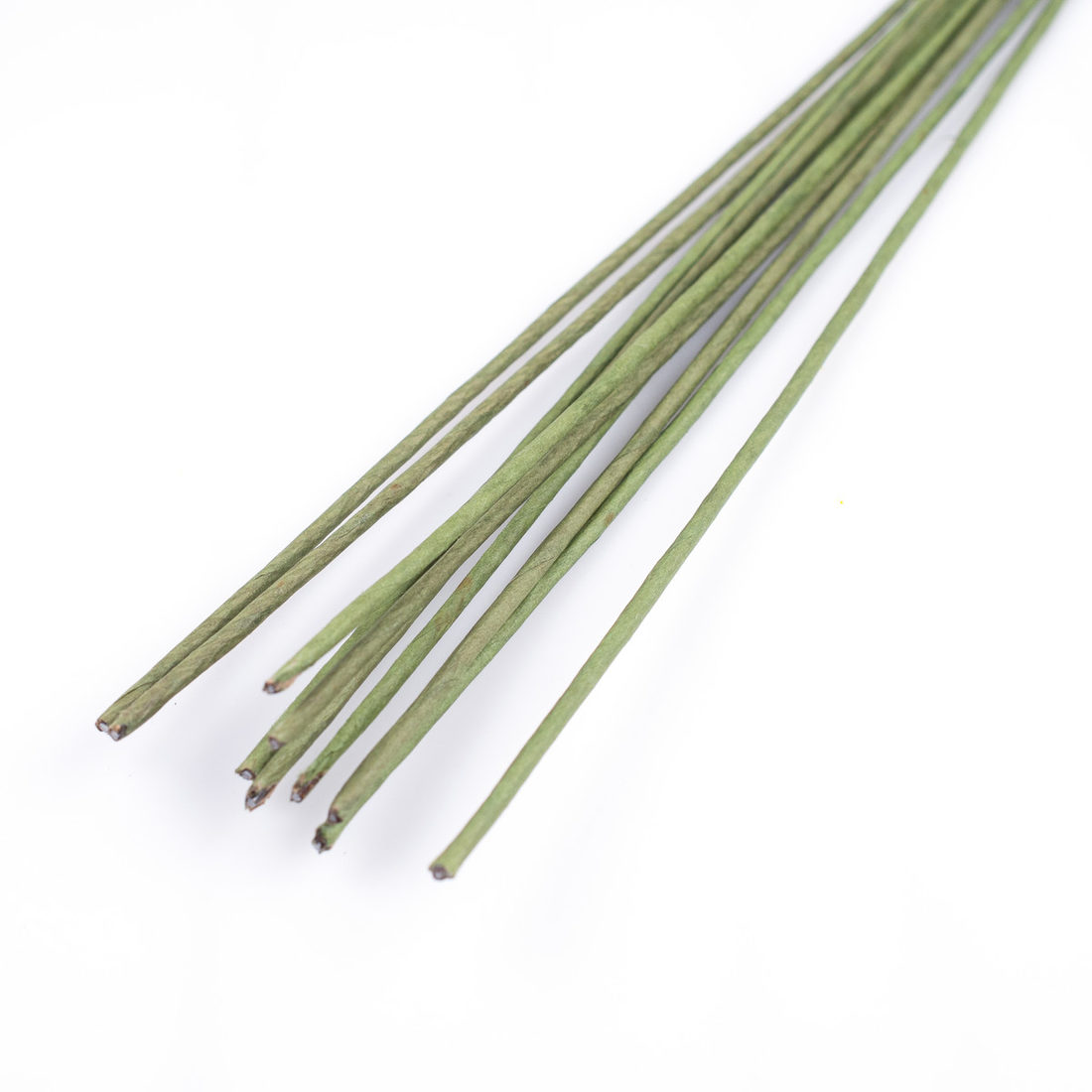 Bloemstokken 40 cm 10 st Bloemstokken 40 cm 10 st