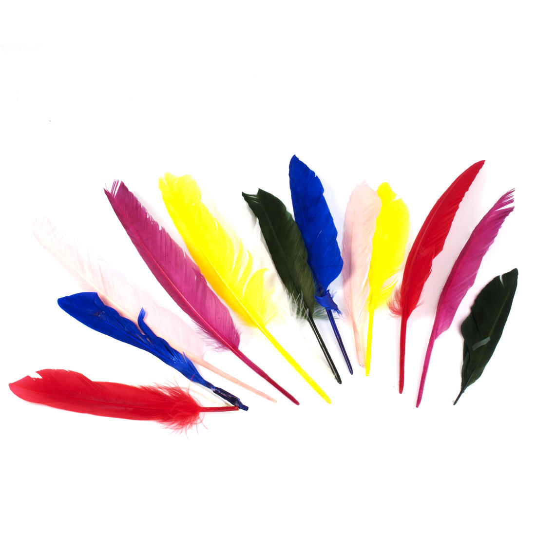 Pluimen 17 cm 12 stuks assortiment Pluimen 17 cm 12 stuks assortiment