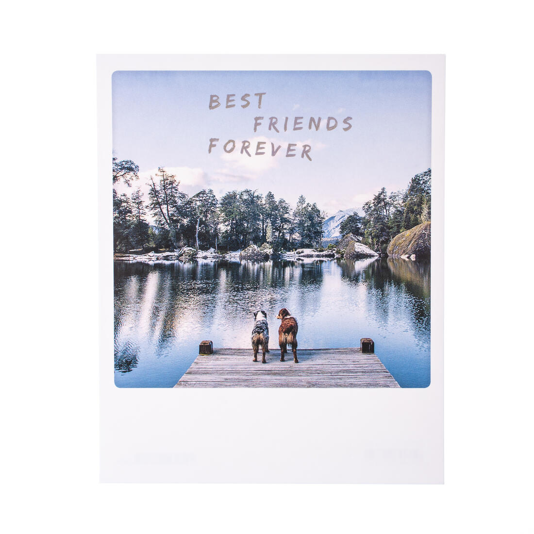 Postkaart - Best friends forever