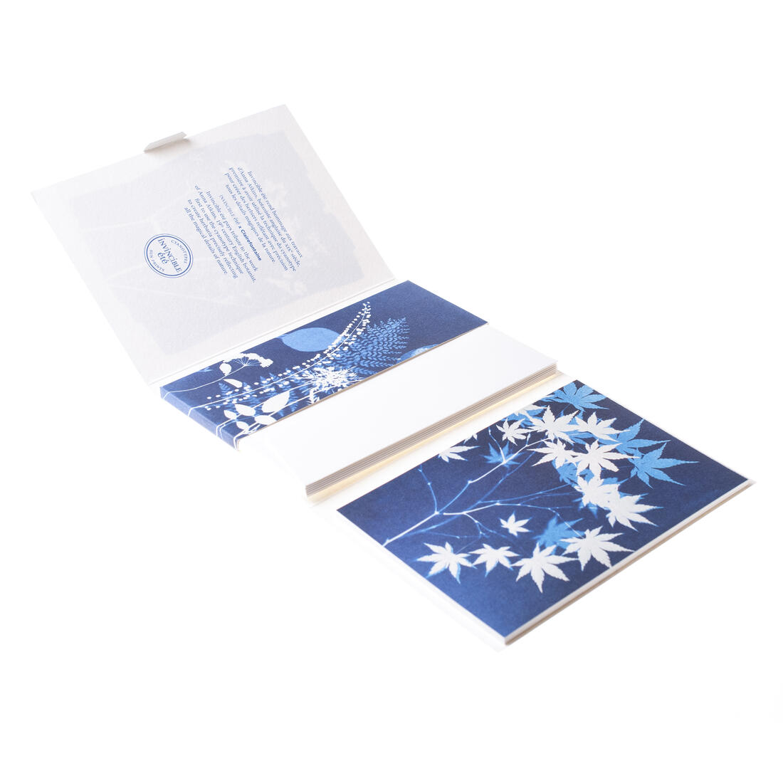 Wenskaartenset cyanotype 8 kaarten + enveloppe