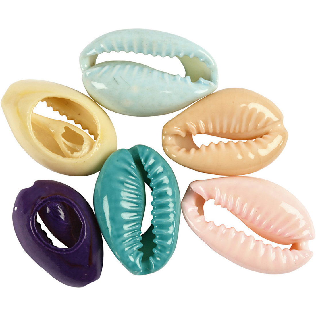 Schelpen met gat 20 mm 6 stuks assortiment