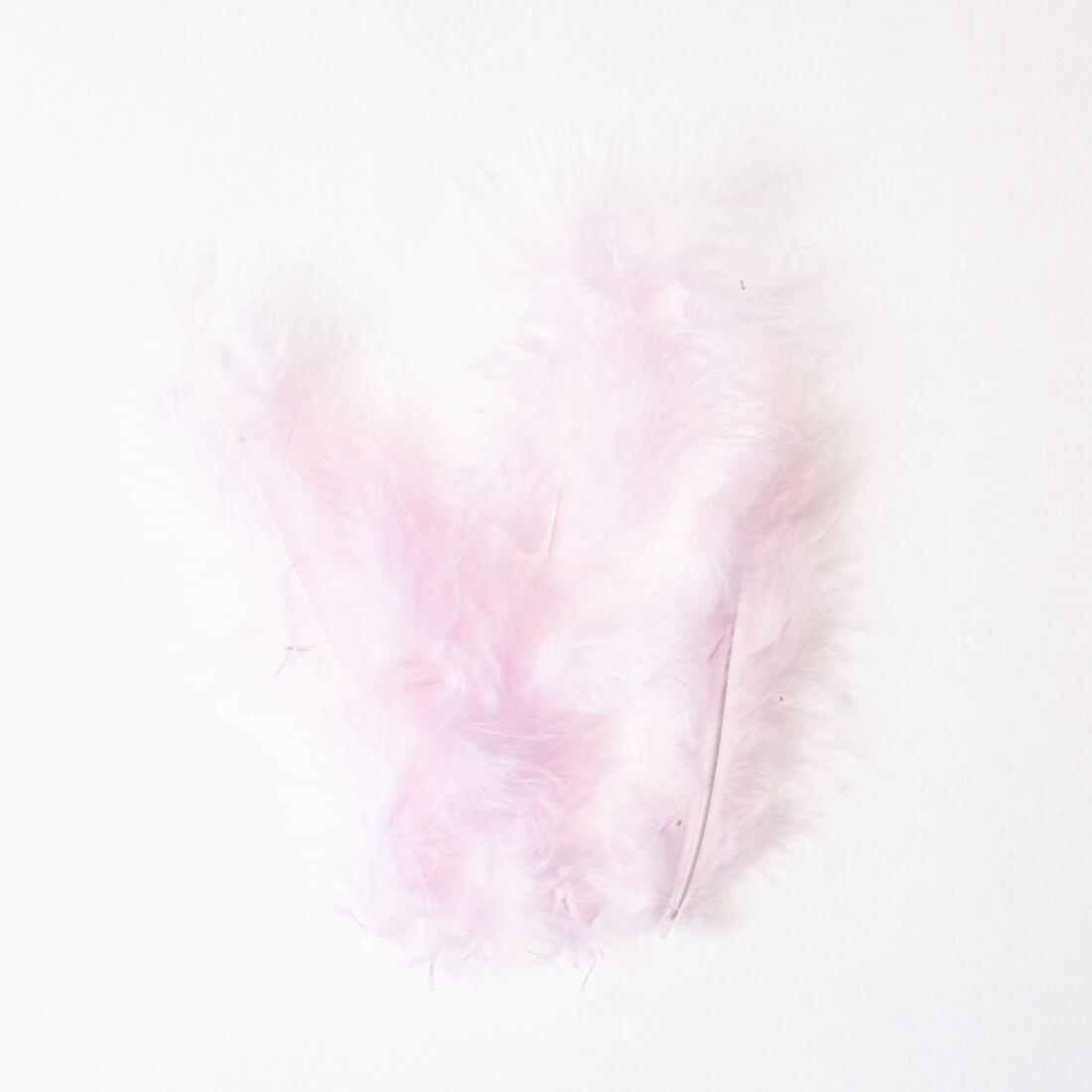 Deco veertje 10 stuks Deco veertje 10 stuks