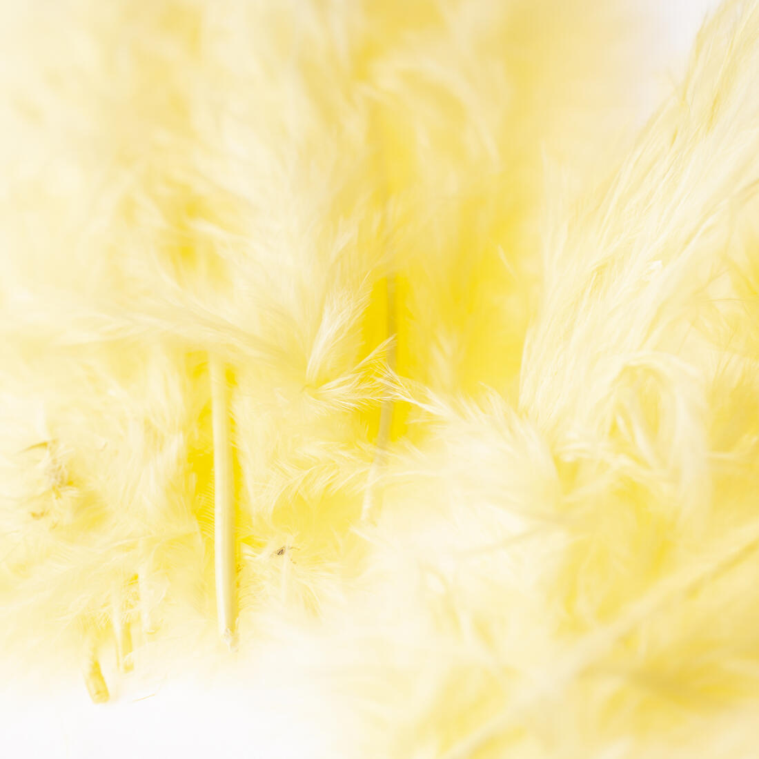 Deco veertje 10 stuks Deco veertje 10 stuks