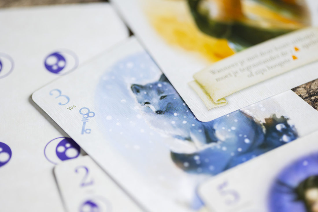 De Vos in het bos 10+ De Vos in het bos 10+