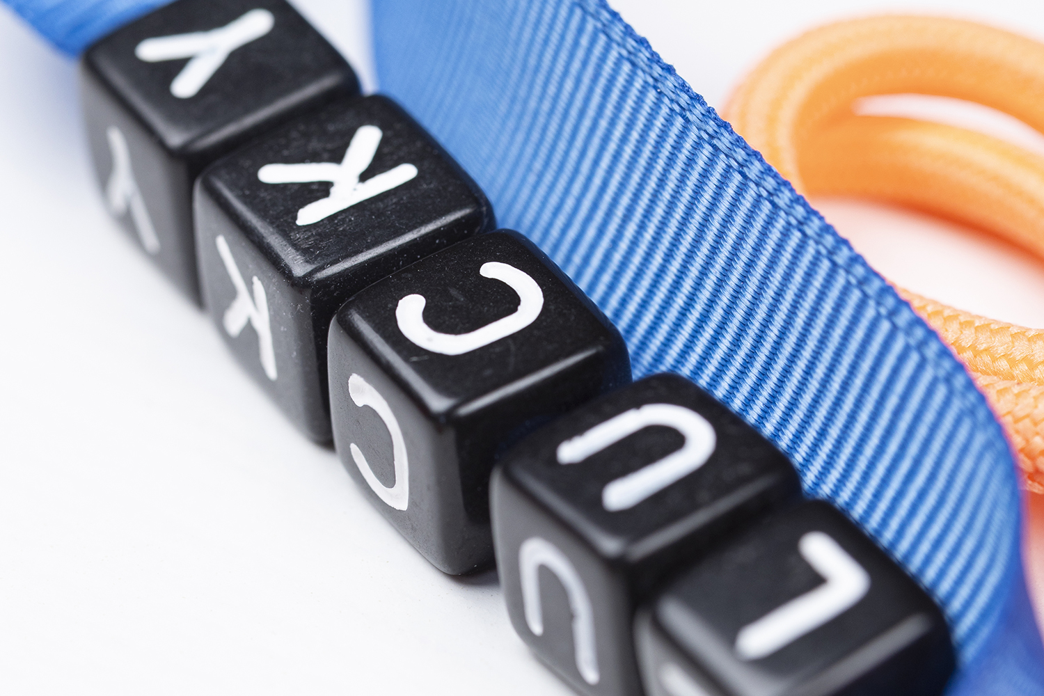 Lucky fruits tas-/sleutelhanger