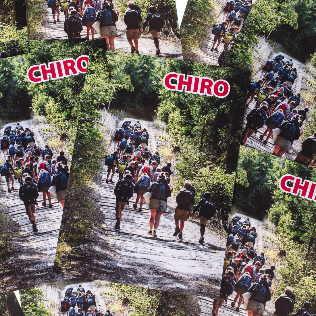 Bivakpostkaart 25 tocht door bos 20 stuks Bivakpostkaart 25 tocht door bos 20 stuks