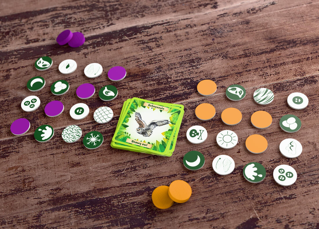 Animals around the world Bingo 8+ Animals around the world Bingo 8+