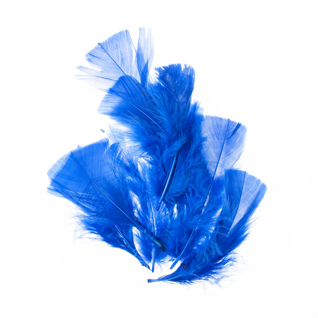 Pluim turkey 5 a 10cm 10 stuks koningsblauw