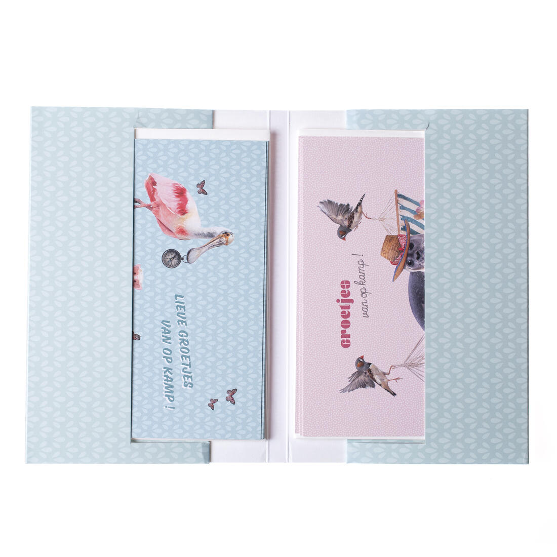 Kampgroetjes 6 stuks Zeehond