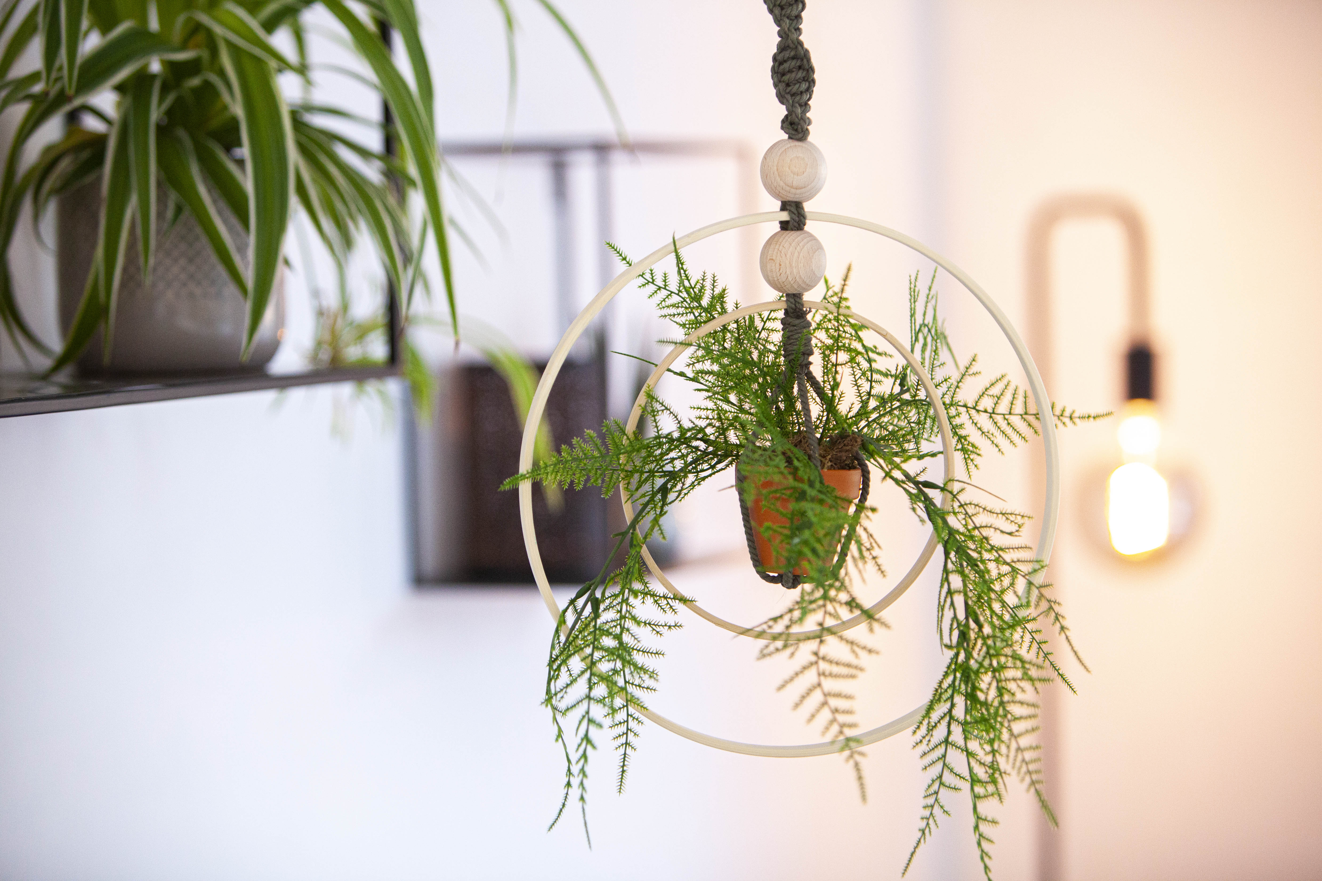 Knutselidee: macramé plantenhanger