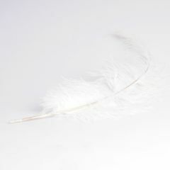 Krea Feathers pluim struisvogel 60 cm wit