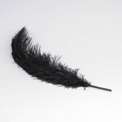 Krea Feathers pluim struisvogel 60 cm zwart