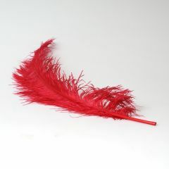 Krea Feathers pluim struisvogel 60 cm rood