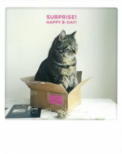 Postkaart - Surprise