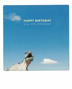 Postkaart - You Old Dinosaur