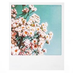 Postkaart - Bloemen roze