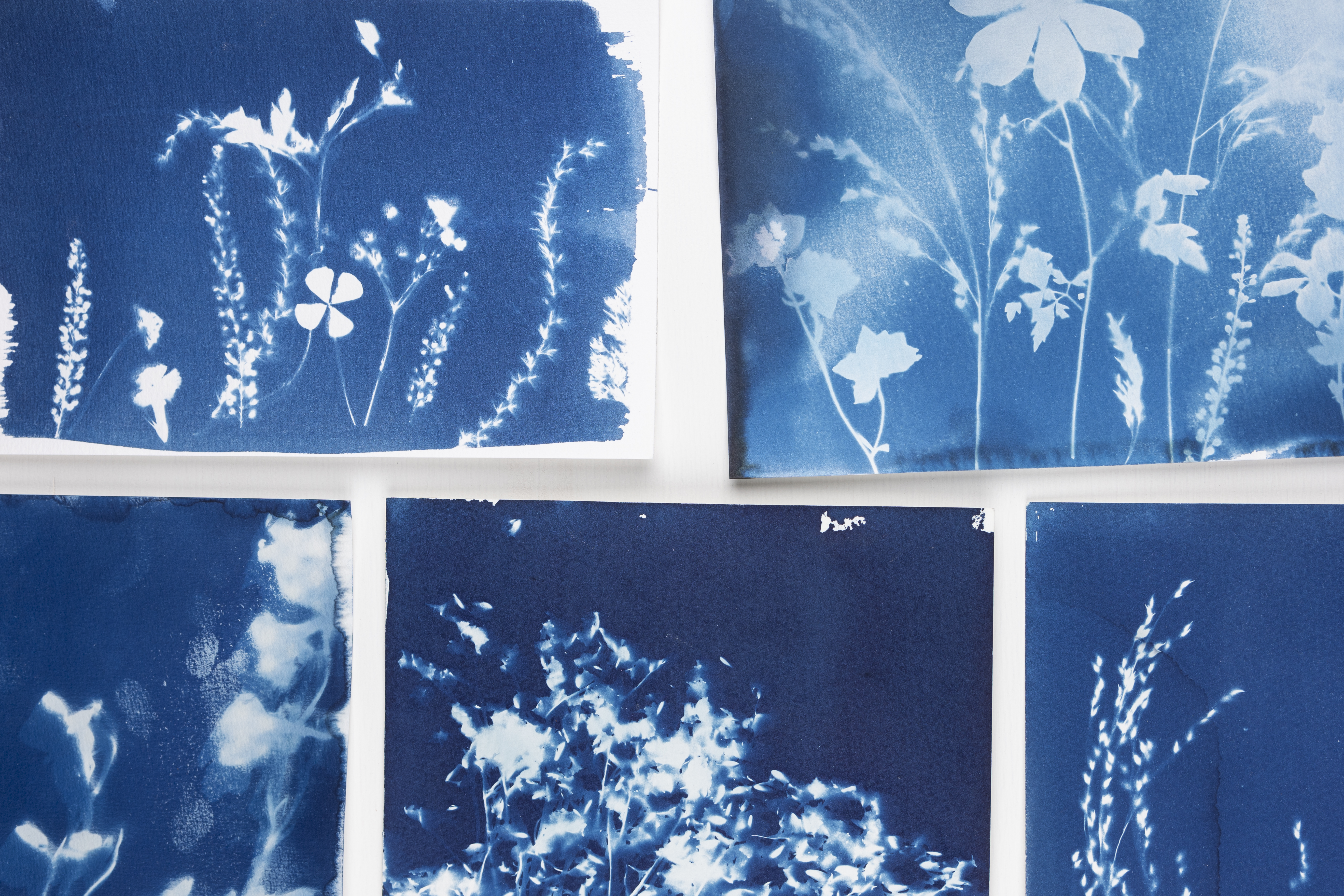 Blauwdrukken op papier
