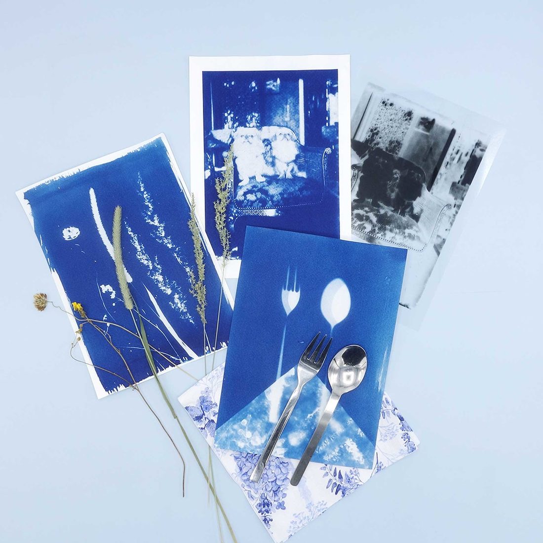 Cyanotype kit Cyanotype kit
