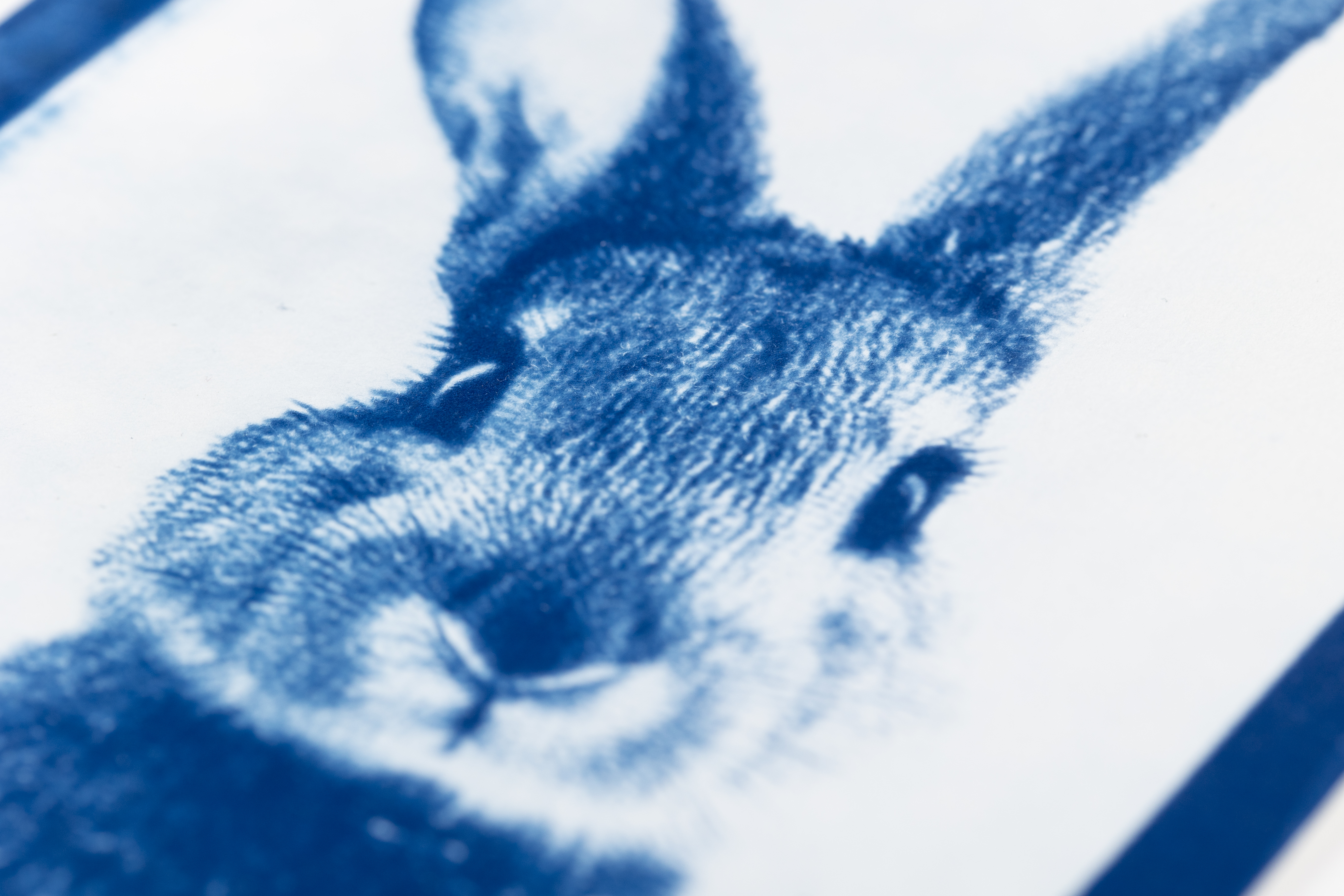Blauwdrukken op papier