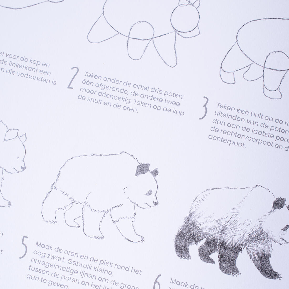 Tekenen in 30 minuten Tekenen in 30 minuten