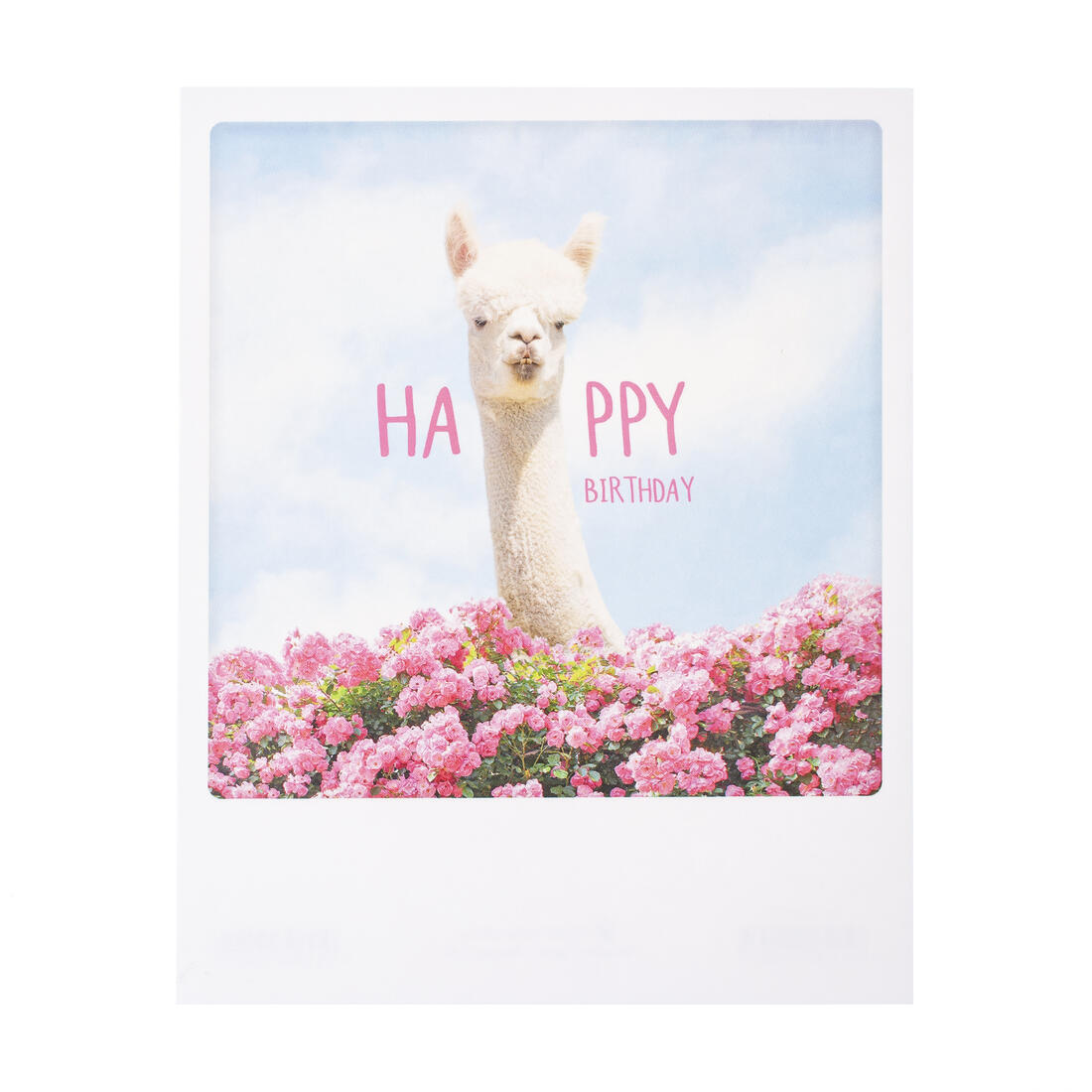 Postkaart - Happy birthday Lama