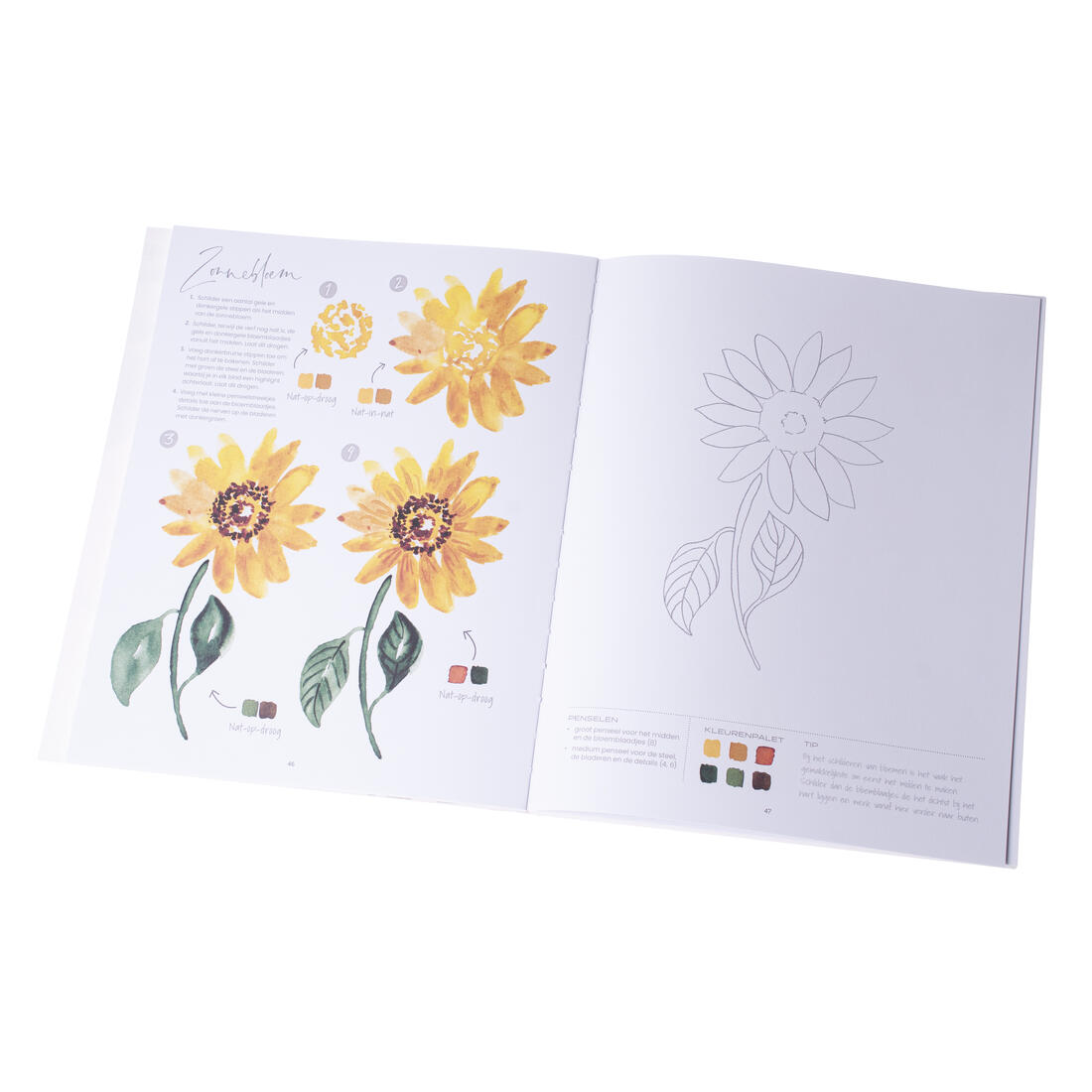 Aquarel in 30 minuten Aquarel in 30 minuten