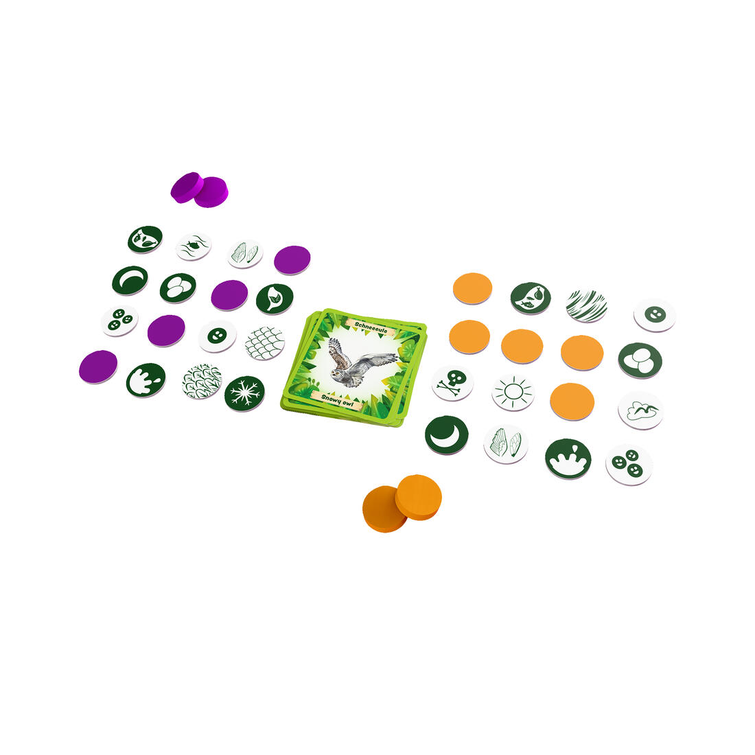 Animals around the world Bingo 8+ Animals around the world Bingo 8+