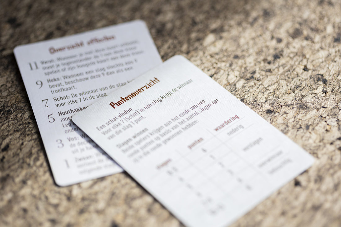 De Vos in het bos 10+ De Vos in het bos 10+