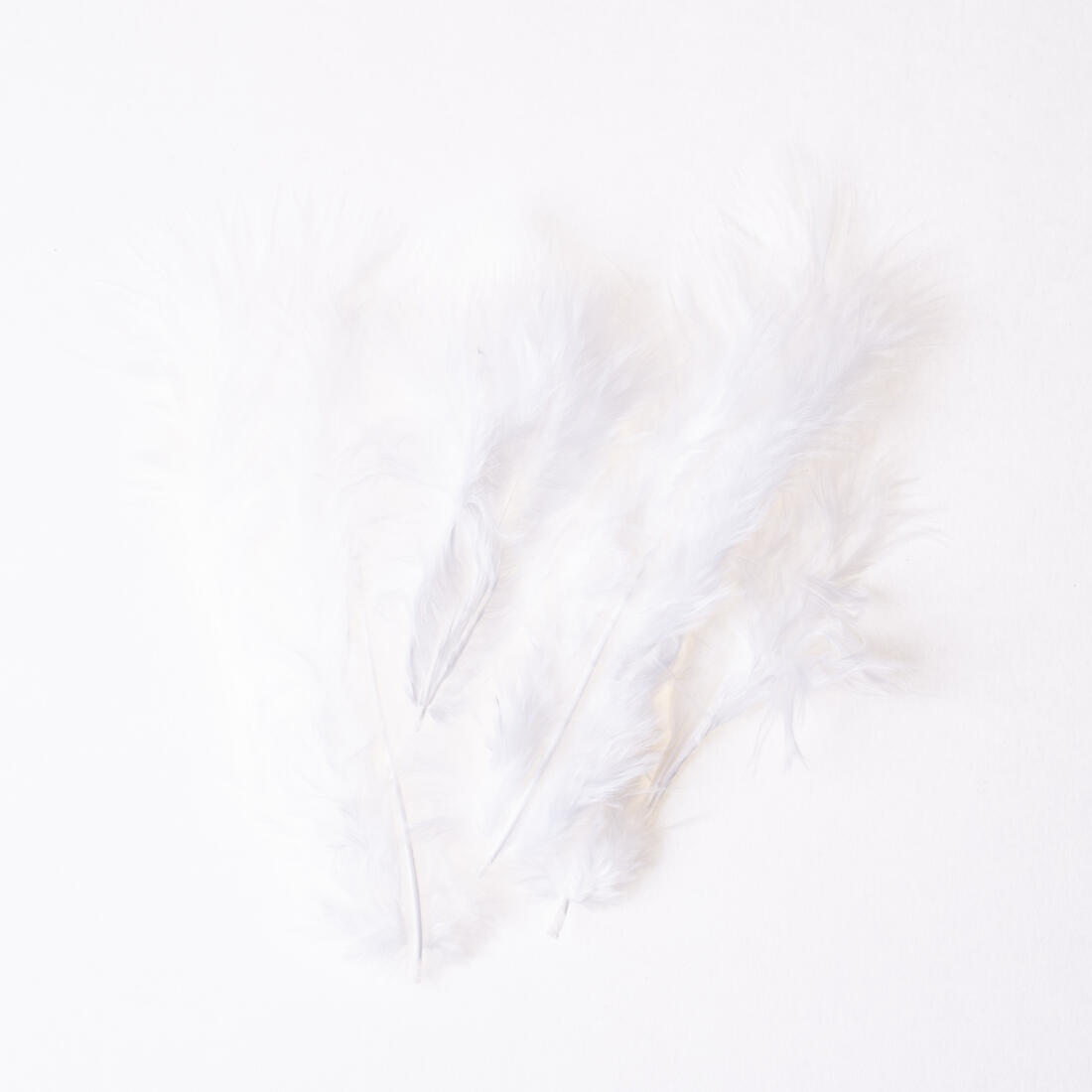 Deco veertje 10 stuks