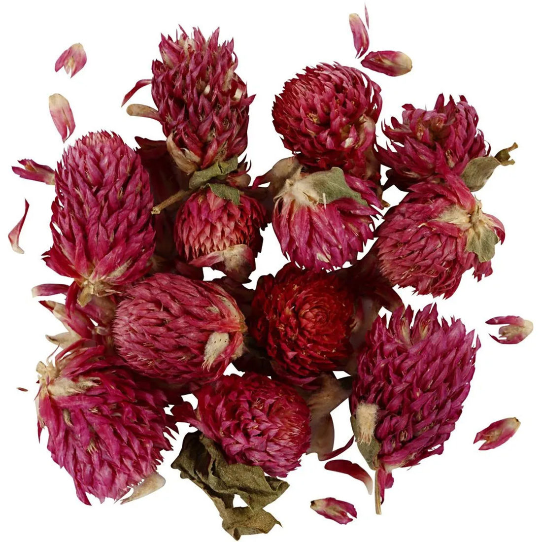 Gedroogde bloemen klaver 15 g