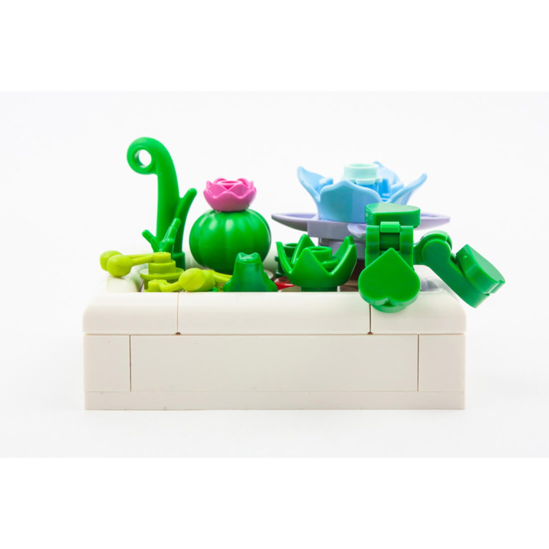 Lego Botanicals: Mini-woestijntuin Lego Botanicals: Mini-woestijntuin