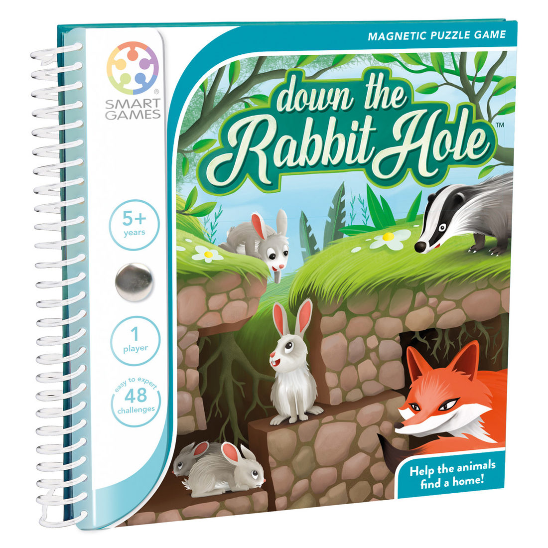 Magnetic Travel Down the Rabbit Hole 5+ Magnetic Travel Down the Rabbit Hole 5+