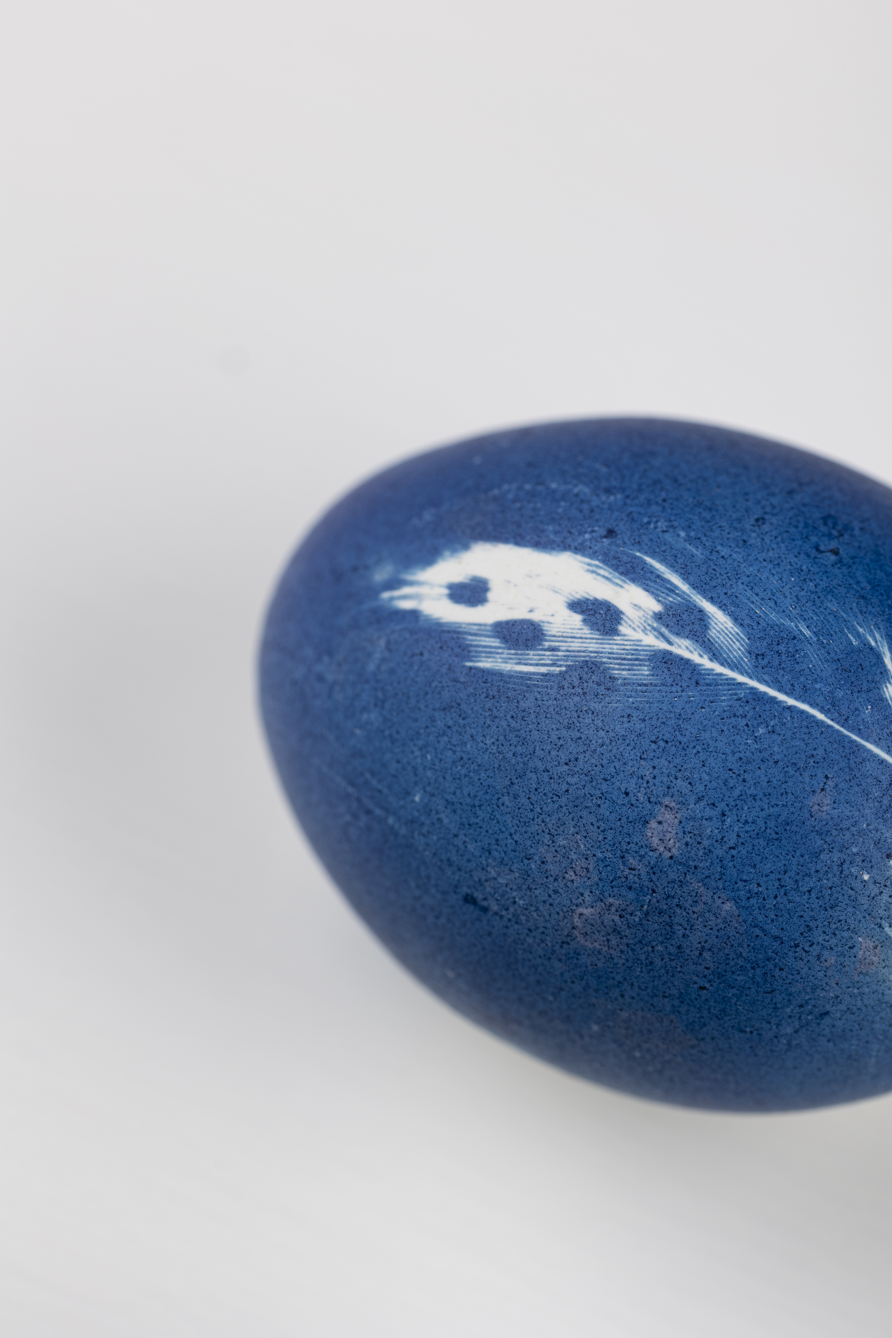 Blauwdrukken op eieren