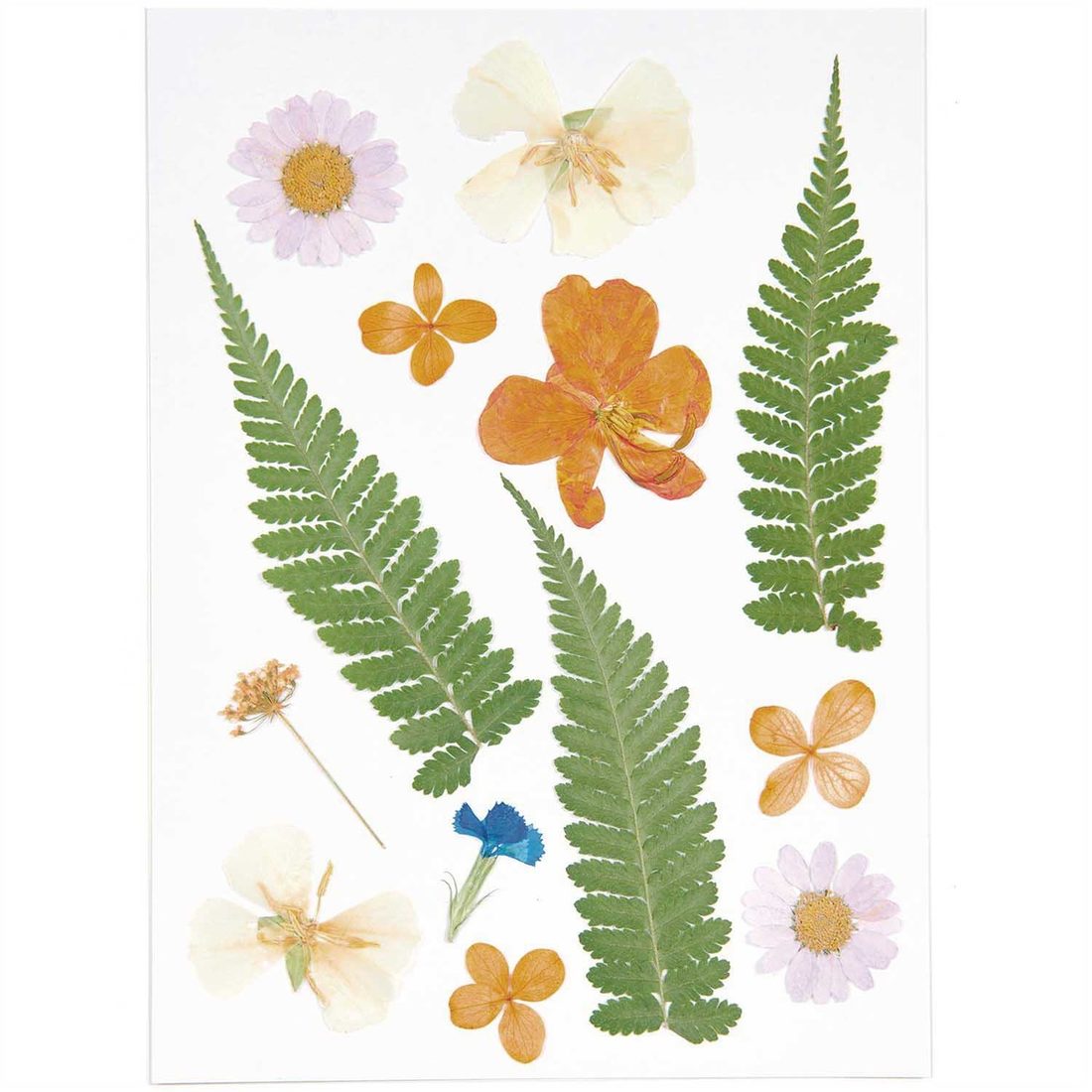 Geperste bloemen mix violet oranje